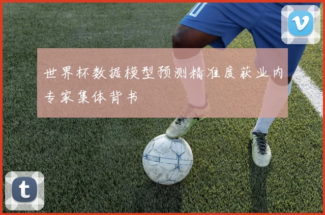 世界杯数据模型预测精准度获业内专家集体背书