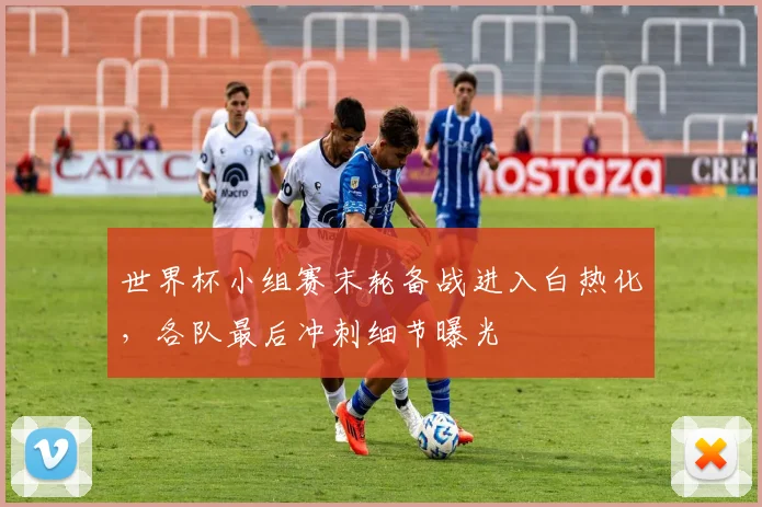 世界杯小组赛末轮备战进入白热化，各队最后冲刺细节曝光